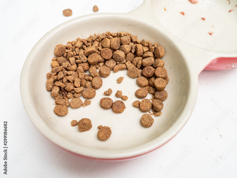Dirty cat food bowls on a mucky white surface Dirty cat food bowls on a mucky white surface