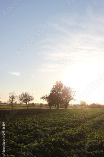 Sonnenuntergang auf der schwäbischen Alb