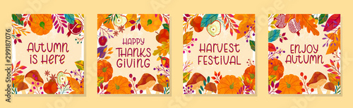 Bundle of seasonal vector autumn illustrations for thanksgiving day and harvest festival with pumpkins;mushrooms;pomegranates;figs;apples;plants;leaves;berries and floral elements.Trendy fall designs.