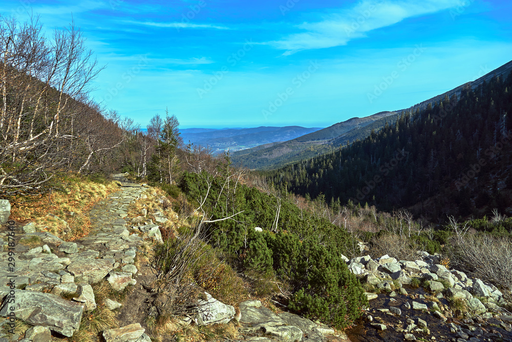 Stones on a tourist trail in the autumn in the Giant Mountains in Poland.