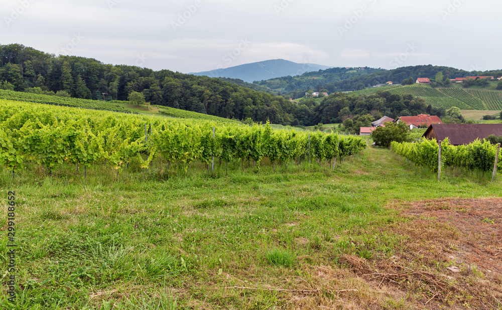 Summer Slovenian landscape near Maribor, Slovenia. Summer Slovenian landscape near Maribor, Slovenia.