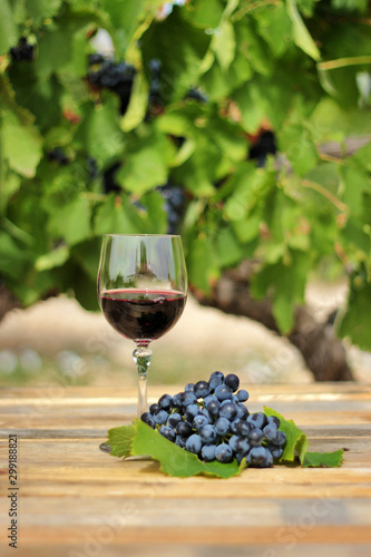 glass of red wine with grape cluster on an old wooden table