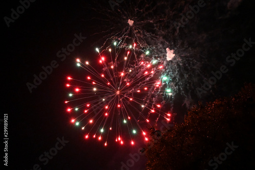 Fireworks pyrotechnics