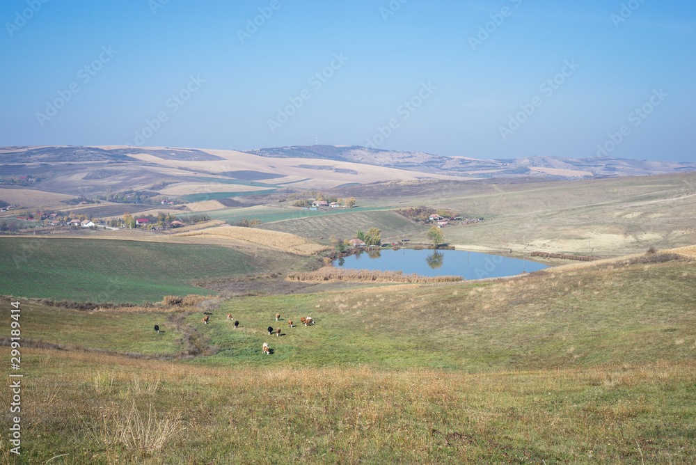 Scenic view of a lake on Transylvanian Plain, Romania