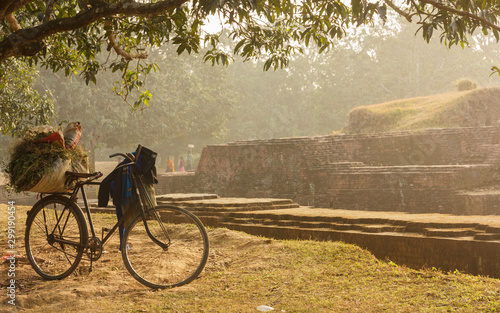 A bicycle with a sack of plants and leaves and some clothes idles by the mounds of the ancient archaeological site of Gour around the city of Malda in West Bengal, India..