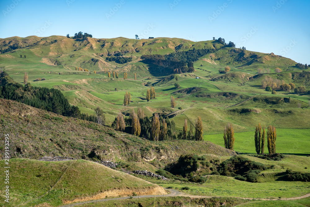 Fototapeta premium Beautiful rolling hills and valleys and agricultural farming countryside of the Hawkes Bay