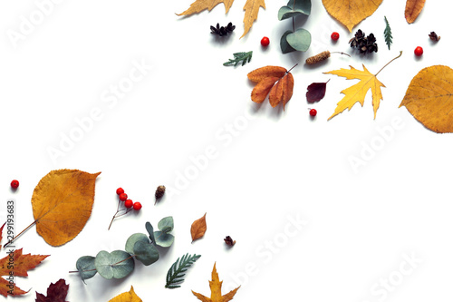 Autumn leaves pattern.