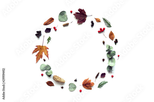 Autumn leaves frame.