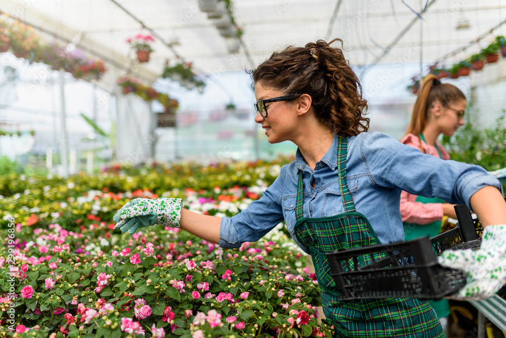 Young woman working in beautiful colorful flower garden greenhouse