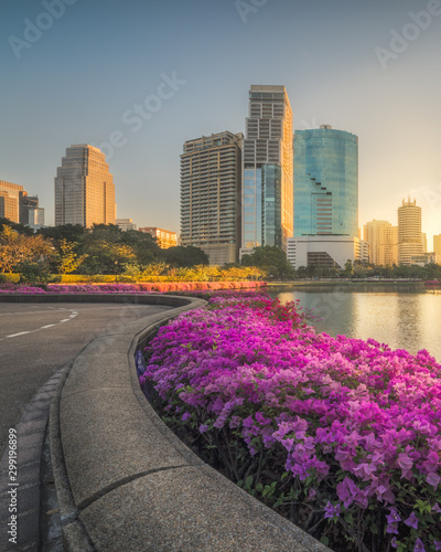 Lake with Purple Flowers in City Park under Skyscrapers at Sunrise. Benjakiti Park in Bangkok, Thailand photo