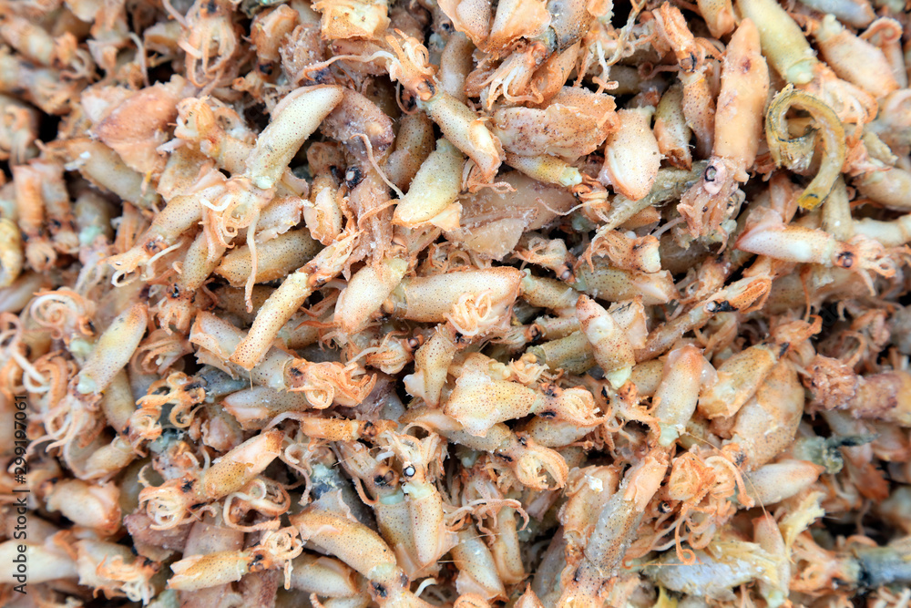 Dried cuttlefish in a market