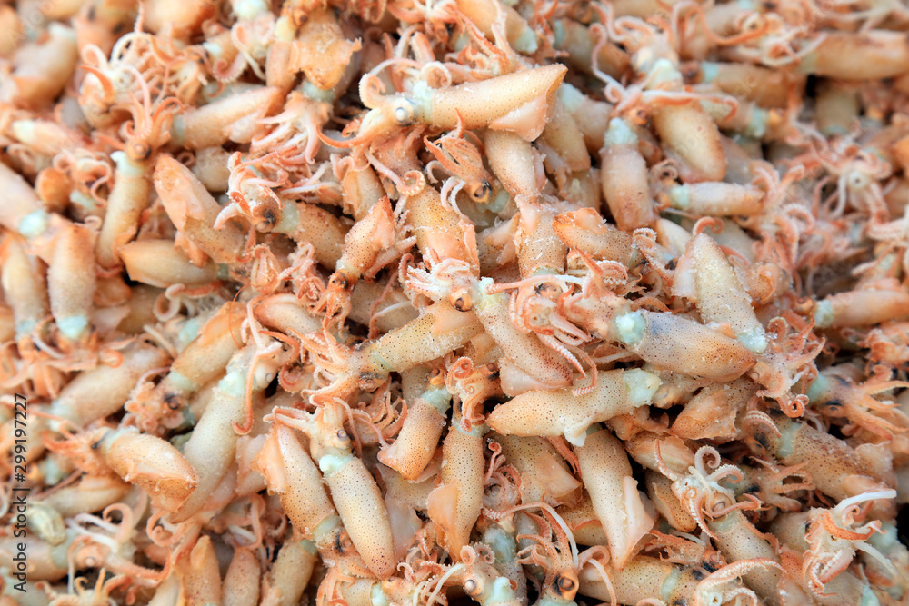 Dried cuttlefish in a market