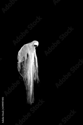 Fotografie, Obraz Scary ghost isolated on black background.