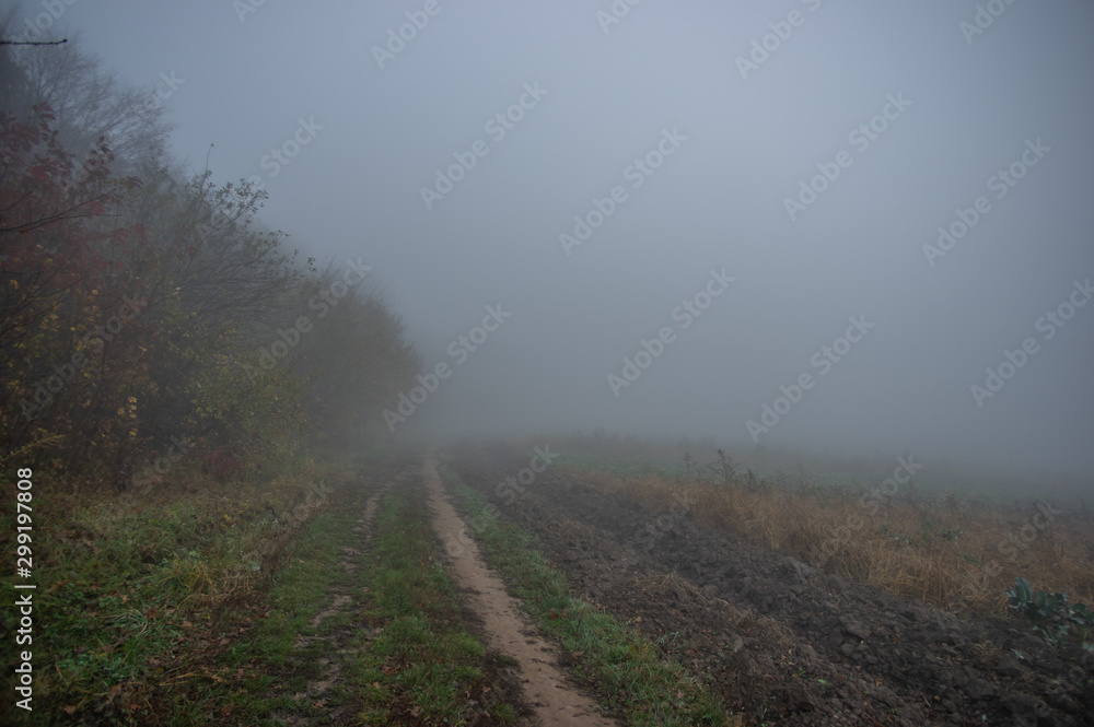 Misty gloomy autumn morning in the field Misty gloomy autumn morning in the field