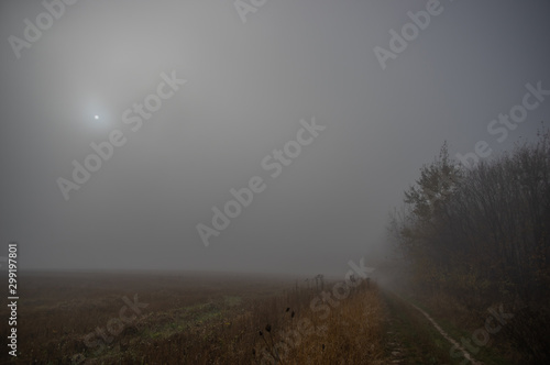 Misty gloomy autumn morning in the field © onyx124