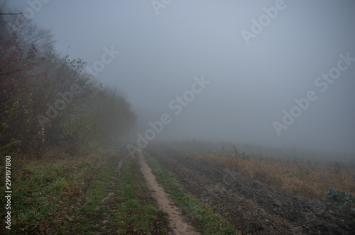 Misty gloomy autumn morning in the field