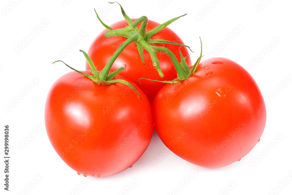 branch of fresh tomatoes isolated on white background branch of fresh tomatoes isolated on white background