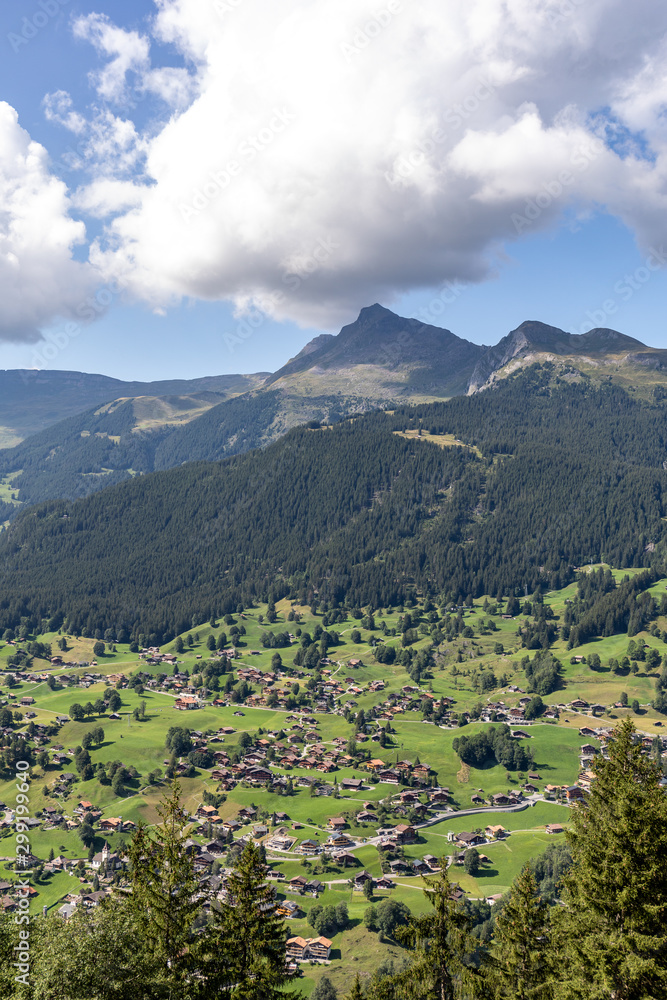 Obraz premium Grindelwald Scenic View