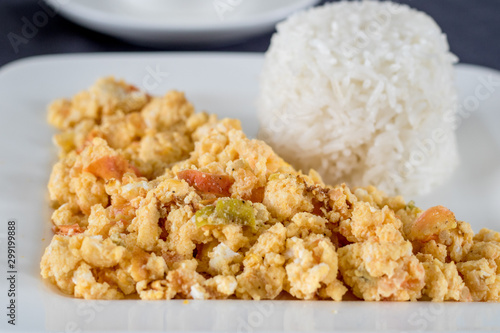 eggs with onion, tomato and rice (Colombian parrots)