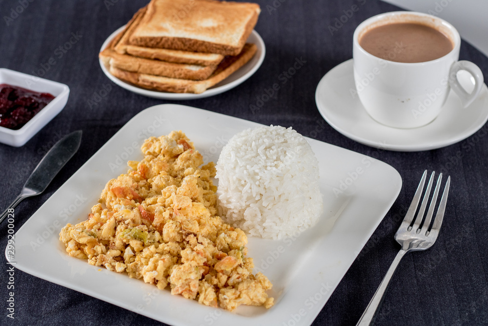 eggs with onion, tomato, chocolate, bread and rice (Colombian parrots) eggs with onion, tomato, chocolate, bread and rice (Colombian parrots)