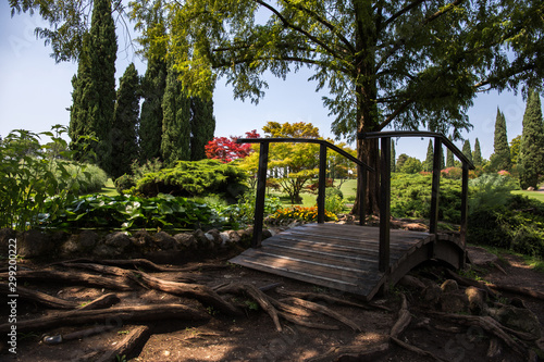 Wooden bridge in a park between large roots of trees