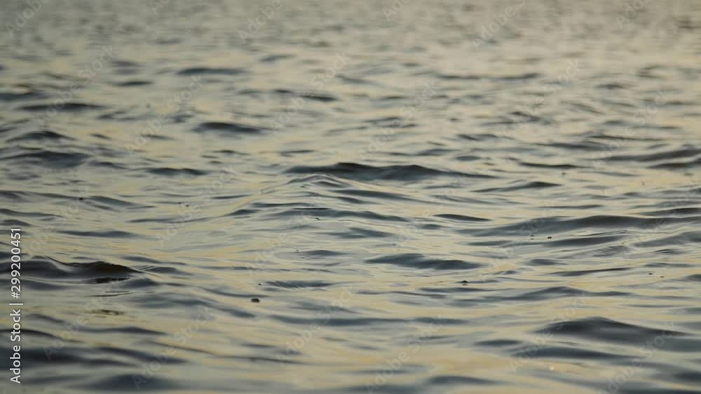 Calm sea surface close-up in slow motion in the evening. Calm sea surface close-up in slow motion in the evening.
