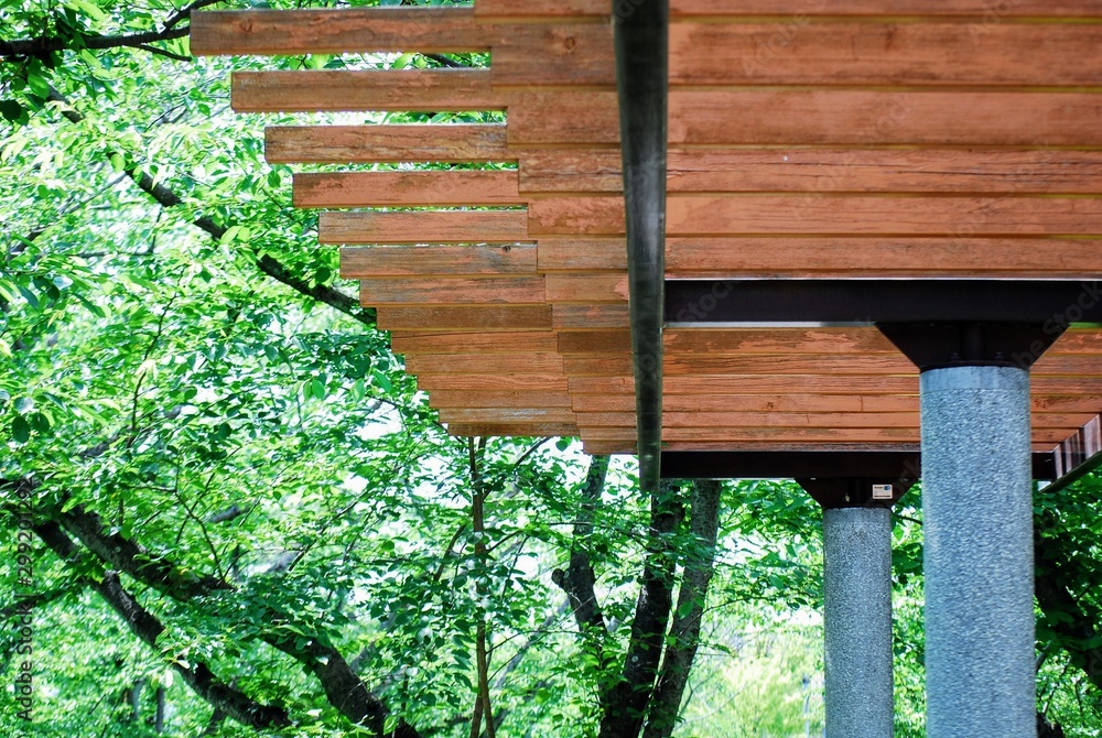 Naklejka premium 藤棚