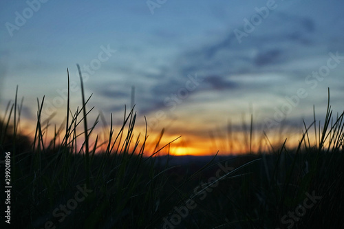 Blick auf de Sonnenuntergang  durch Gras