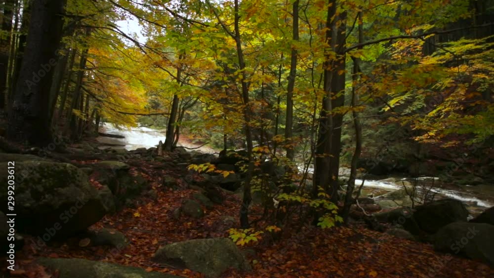 Panning shot of a stream flowing through rocks, in the middle of an autumnal forest Panning shot of a stream flowing through rocks, in the middle of an autumnal forest