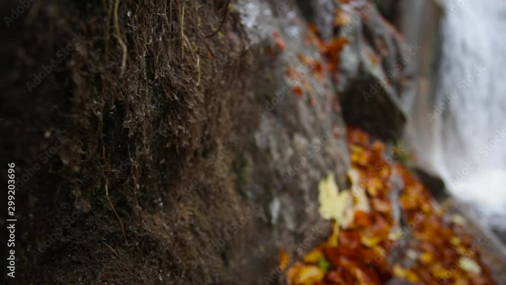 Still shot of water drops near a waterfall in the middle of an autumnal forest Still shot of water drops near a waterfall in the middle of an autumnal forest