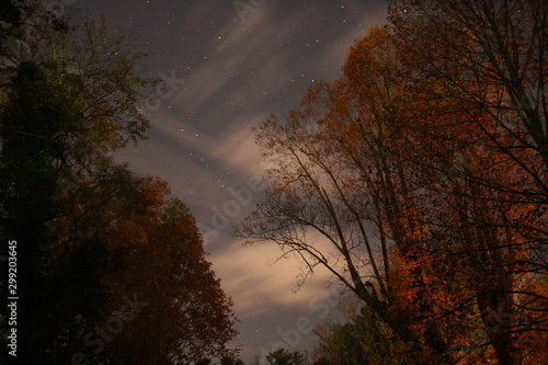 Cool autumn night