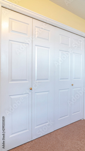 Vertical Closed white painted doors of a fitted wardrobe