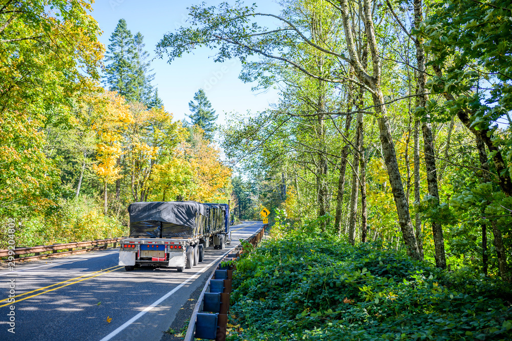Big rig blue semi truck transporting packaged cargo on flat bed semi trailer going on the road passing through the autumn forest