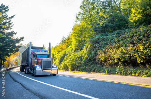 Big rig powerful classic semi truck transporting covered cargo on flat bed semi trailer moving on the road with sunlight and forest trees