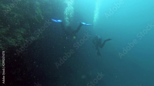 Wallpaper Mural Underwater foorage of Divers in the water Torontodigital.ca