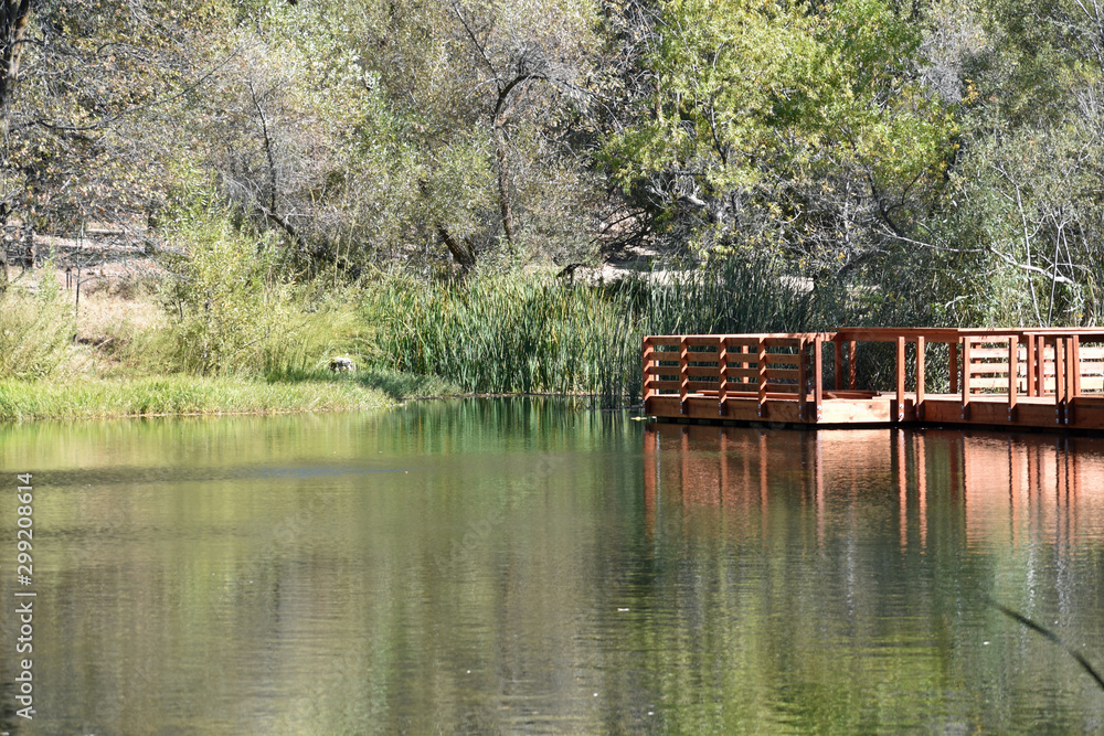 Obraz premium Dock floating on a Pond
