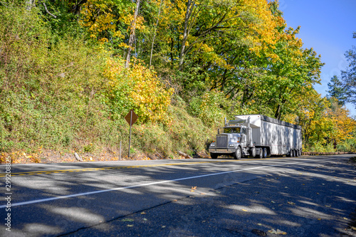 Classic big rig white semi truck with covered low bulk semi trailer driving on the autumn forest road