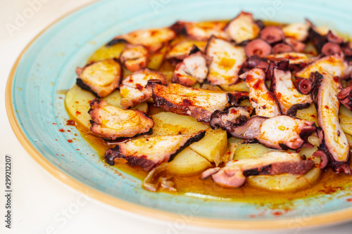 Pulpo a la gallega, an octopus with boiled potatoes, typical Spanish Galician dish. Close up photo. Gastronomy concept.