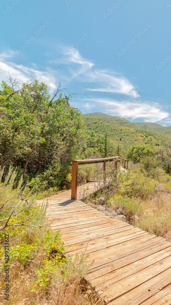 Vertical Wooden walkway with handrails in the forest with view of mountain and blue sky