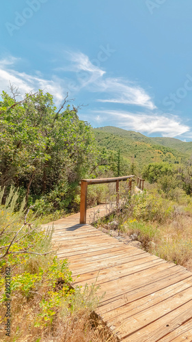 Vertical Wooden walkway with handrails in the forest with view of mountain and blue sky