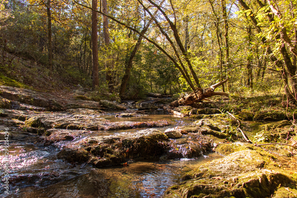 river in the autumn forest river in the autumn forest