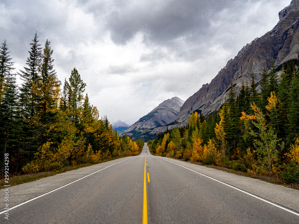 Fototapeta premium route au travers des montagnes
