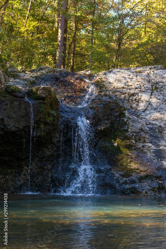 waterfall in forest