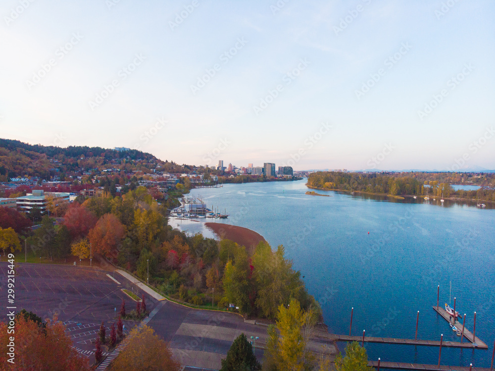 autumn park with colored trees and a view of the city with bridges and a pier shot from above, top view