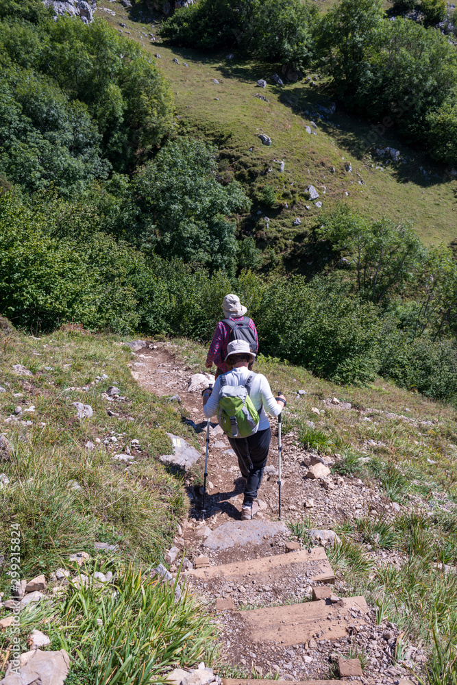 walking on sand road in the peaks of europe walking on sand road in the peaks of europe