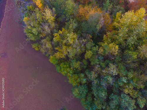 autumn park with colored trees shot from above, top view