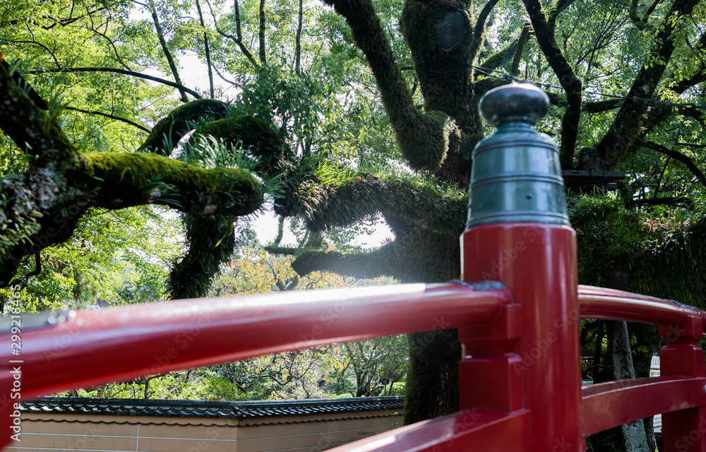 a red wooden bridge and green trees a red wooden bridge and green trees