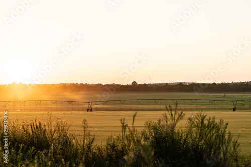 Sunset Over Fields