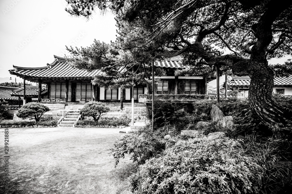 home, 건축, 닛폰, asia, 건물, 나이든, 관자놀이, 중국, 고대, 전통, 일본어, 뜰, 나무, home, 동부 지방, 여행, 문화, 궁, 교토, 지붕, 공원, 역사, sky, 나무, 관광,한국,한옥,건축양식,동양,기와집,소나무,시골,시골풍경,양반집,옛풍경 home, 건축, 닛폰, asia, 건물, 나이든, 관자놀이, 중국, 고대, 전통, 일본어, 뜰, 나무, home, 동부 지방, 여행, 문화, 궁, 교토, 지붕, 공원, 역사, sky, 나무, 관광,한국,한옥,건축양식,동양,기와집,소나무,시골,시골풍경,양반집,옛풍경