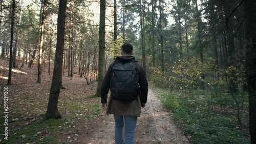 Wallpaper Mural Young bearded man walking in autumn forest. Stylish hipster traveler with backpack trekking in pine woodland landscape, he walks slowly in woods discover and enjoys nature. Slow motion steadicam shot Torontodigital.ca